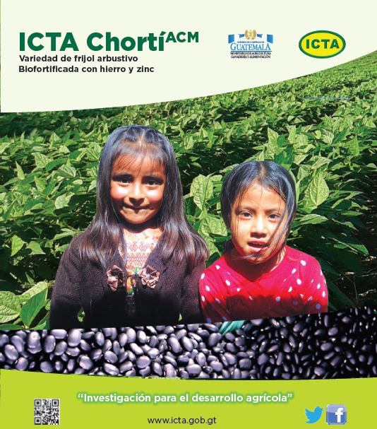 ICTA Chortí ACM 2017